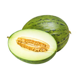 PLANTEL MELON SANCHO INJERTO