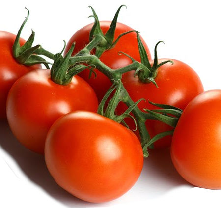 PLANTEL TOMATE RAMILLETE