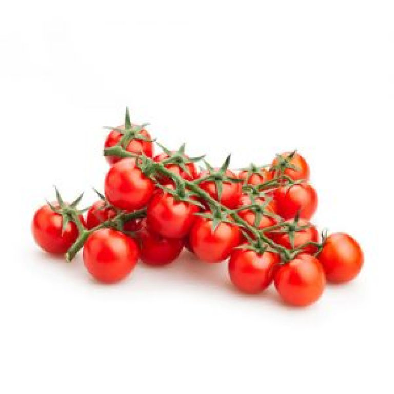 PLANTEL TOMATE CHERRY REDONDO ROJO