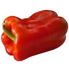 Plantel Pimiento