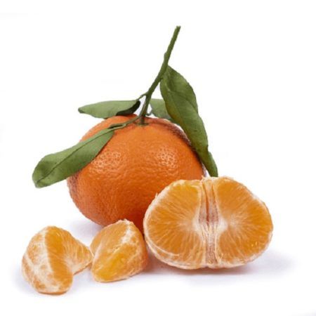 Árbol Cítrico Mandarino