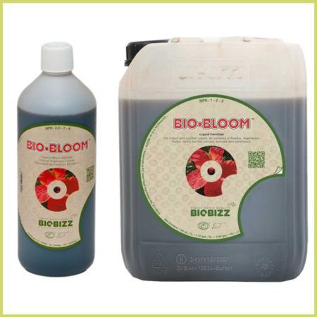 Bio Bloom Biobuzz