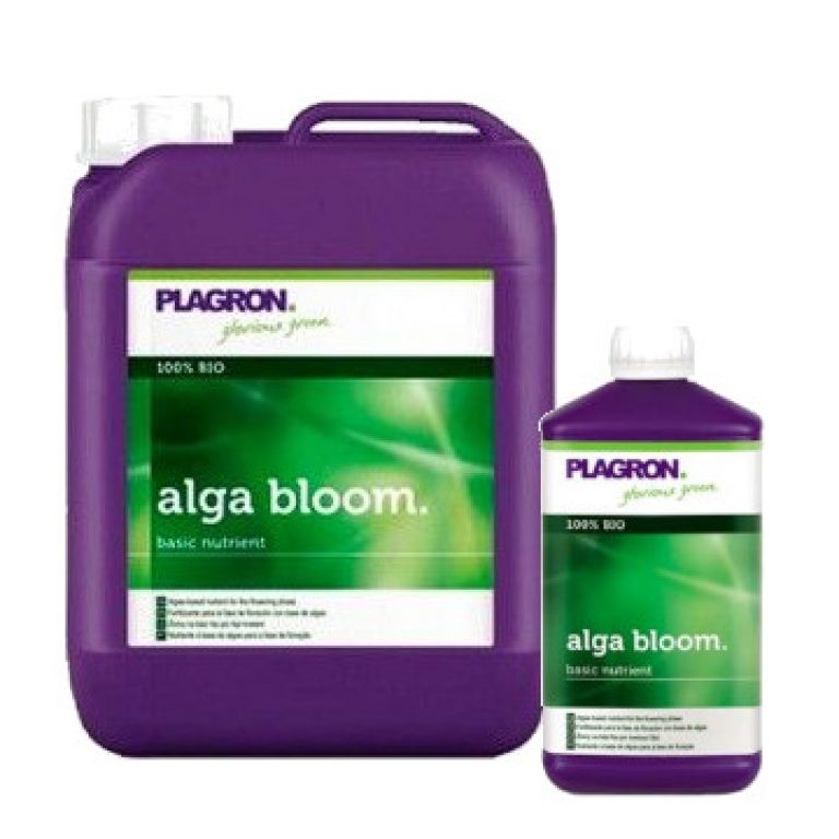 Alga bloom Plagron