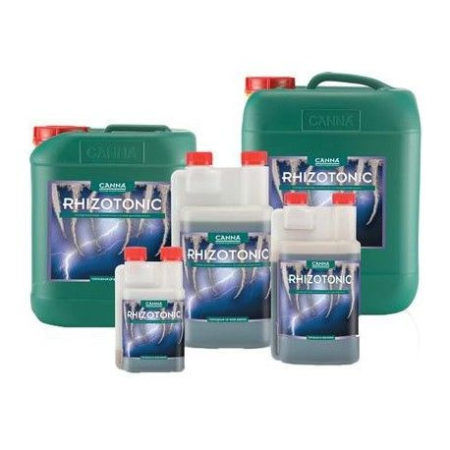 Rhizotonic Canna