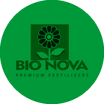 Bionova