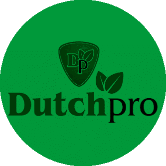 Dutch Pro