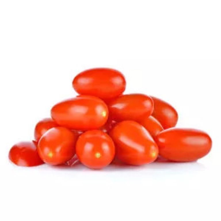 Plantel de tomate injertado cherry pereta rojo