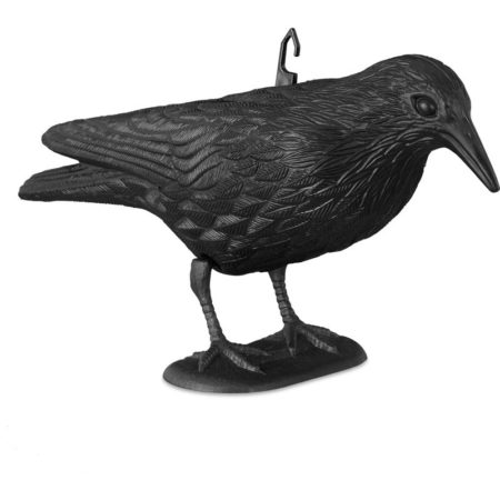 Cuervo ahuyentador pajaros edm