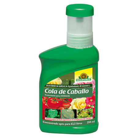 Extracto de Cola de Caballo