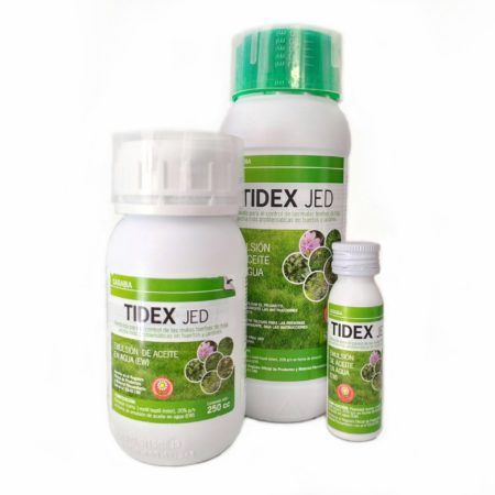 Tidex Jed