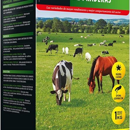 Ray Grass Westerwold 1 KG