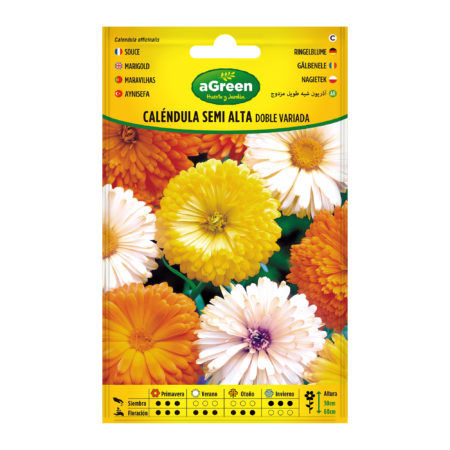 Calendula Semi Alta Doble Variada aGreen
