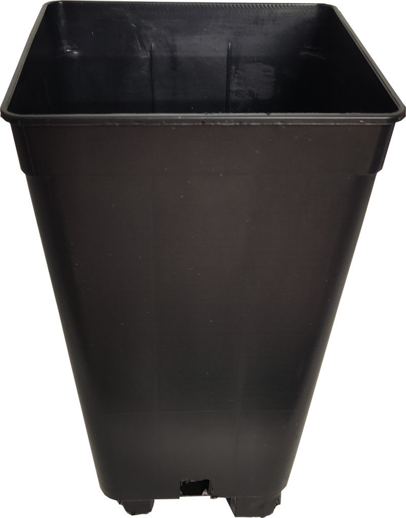 Maceta Cuadrada Negra VDL 12x12x20