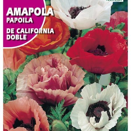 Semillas Amapola De Calfornia Doble Rocalba