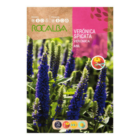 Semillas Verónica Spicata Azul Rocalba