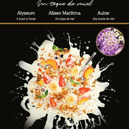 Semillas Aliso Flower Gourmet Rocalba