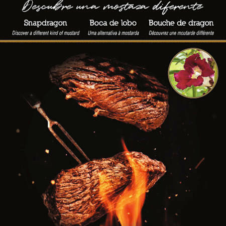 Semillas Flores Comestibles Antirrino Flower Gourmet