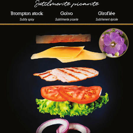 Semillas Flores Comestibles Alhelí Flower Gourmet