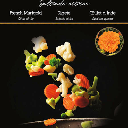 Semillas Flores Comestibles Tagete Flower Gourmet
