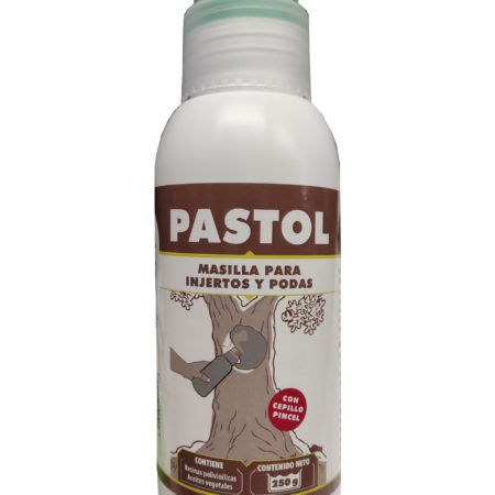 Pastol Pasta Cicratizante 250 gr
