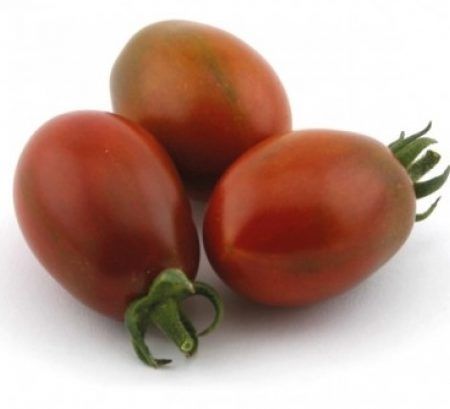 Maceta Tomate Cherry Morenito INJERTADO M-11