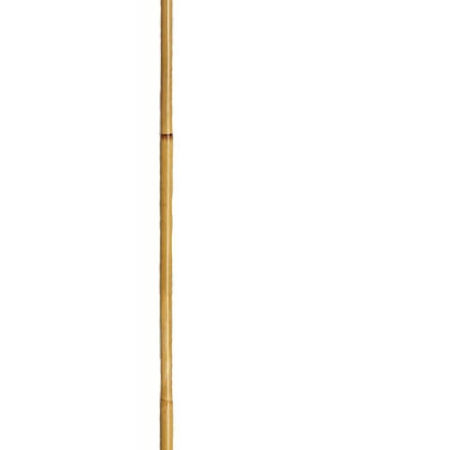 BASTON JUNCO CONTERA 512 18-20 MM