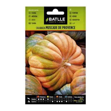 Semillas Calabaza Muscade de Provence