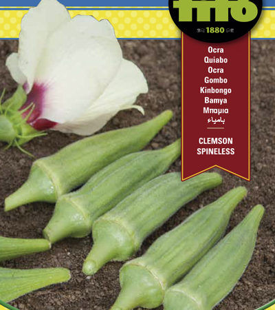 Semillas Okra Fitto