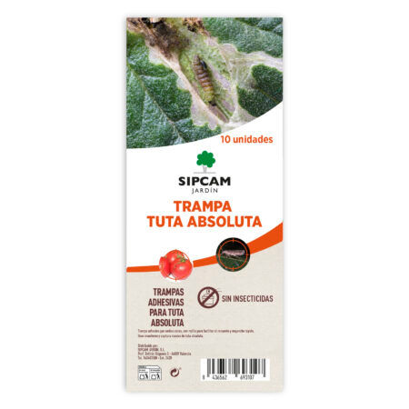 Trampa Adhesiva Tuta Absoluta