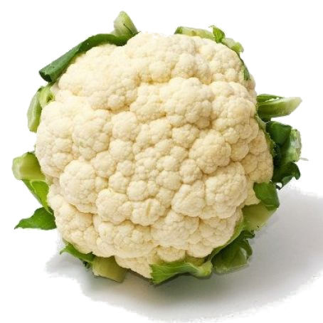 Plantel coliflor