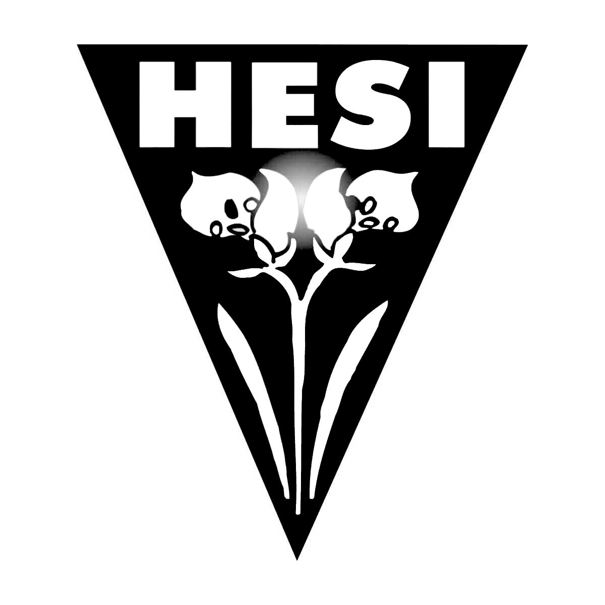 Hesi