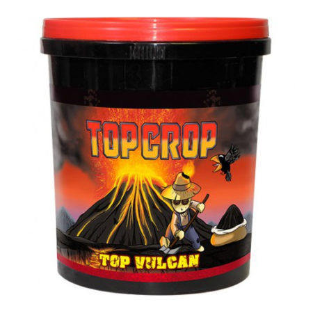 Top Vulcan