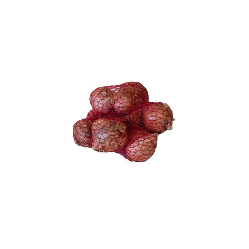 Bulbos Cebolla Roja Red Sun