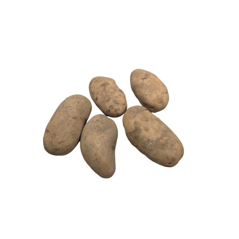Patata Spunta para Siembra 1Kg - Abonos Calsilla