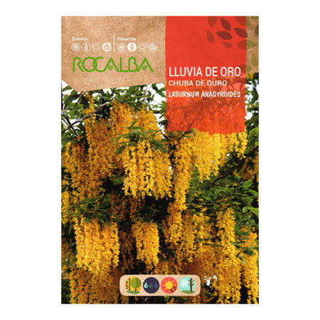 Semillas Lluvia de Oro