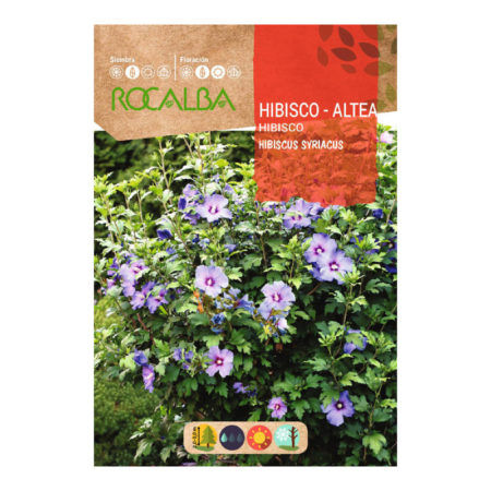 Semillas Hibisco Altea