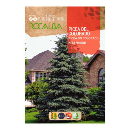Semillas Pícea del Colorado