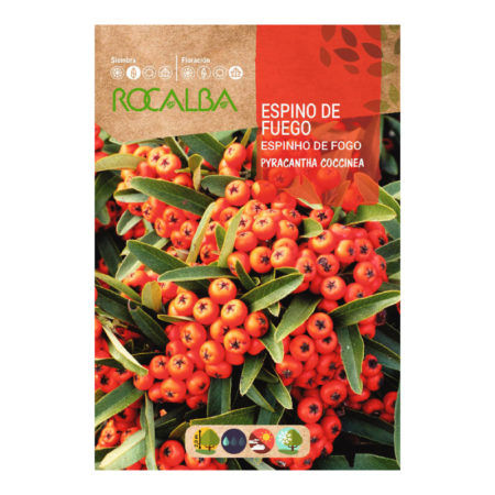 Semillas Espino de Fuego