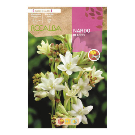 Bulbos Nardo Blanco Rocalba