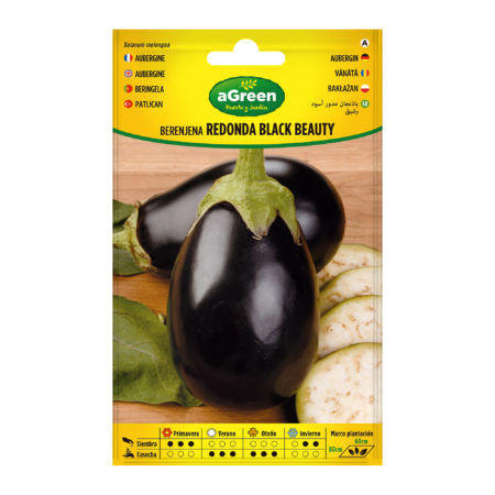 Semillas Berenjena Redonda Negra Black Beauty aGreen