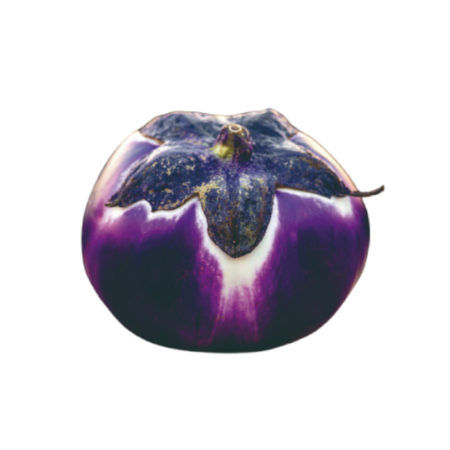 Plantel Berenjena Violetta di Firenze