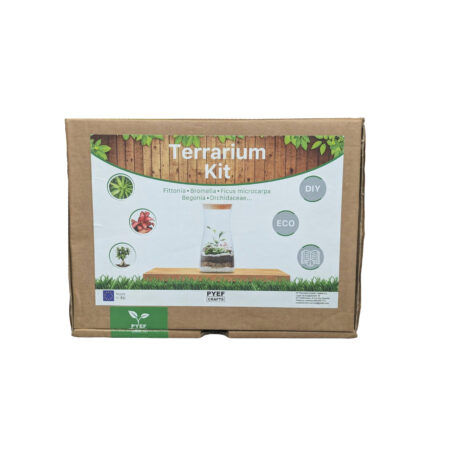 Kit Terrarium sin Frasco