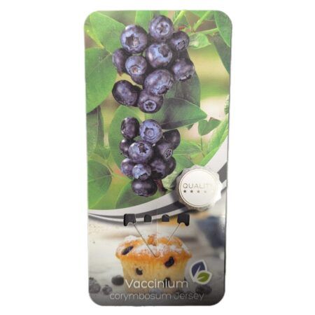 Arandano Corymbosum Jersey