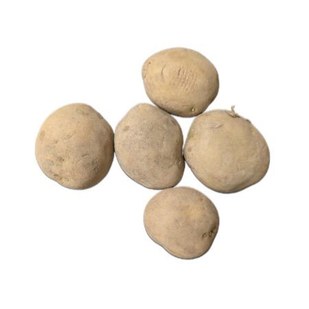 Patata Sifra para Siembra 1 Kg