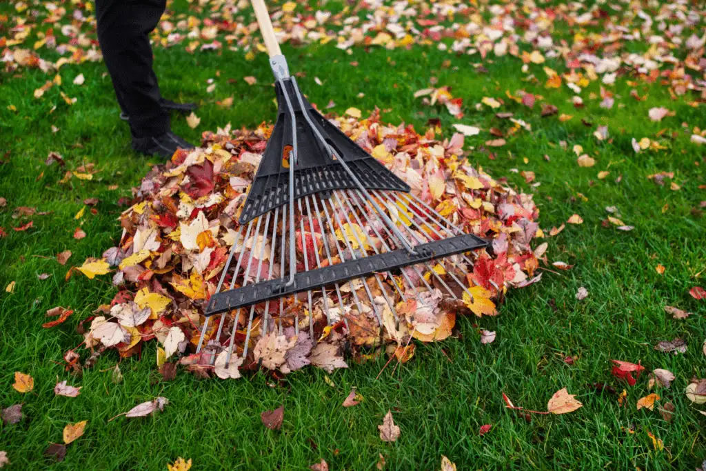  Green Cleaning