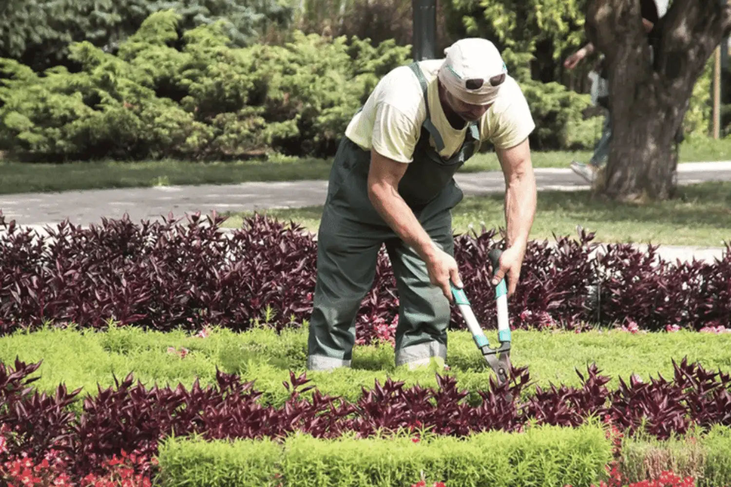 How to Start A Gardening Business in 2025