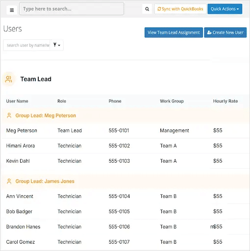 team lead