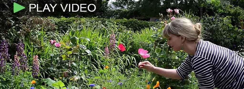 Budget-For-Online-Gardening-Business 
