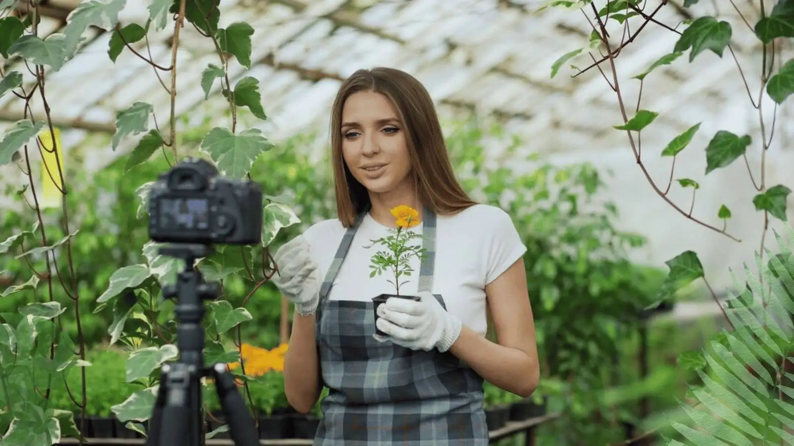 Create Budget-Friendly Video To Promote Gardening Business