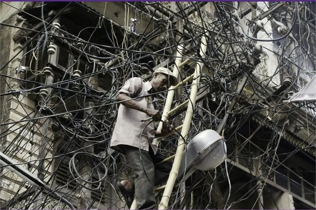 Electricians of the Wild